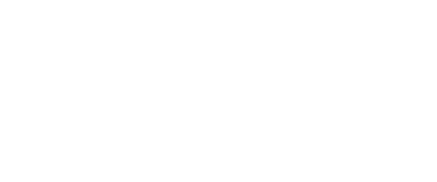 S&P Logo Reverse White